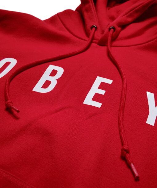 Alternative view of Hoodie OBEY (S)